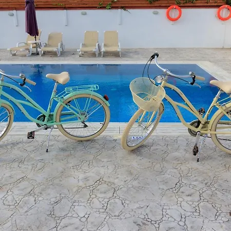 Berryrose * Perivolia