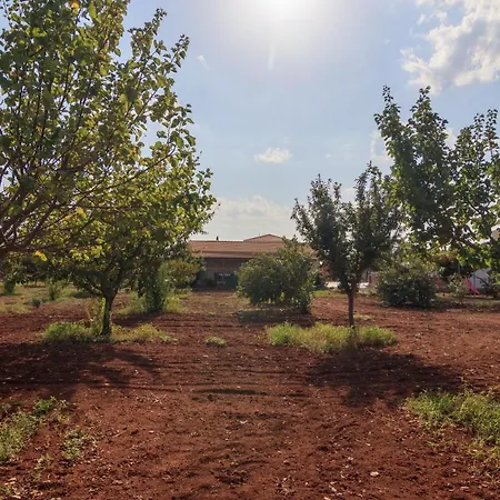 Berryrose * Perivolia