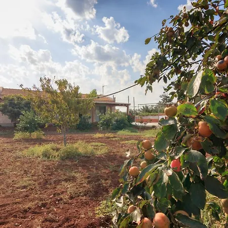 Berryrose Вилла *