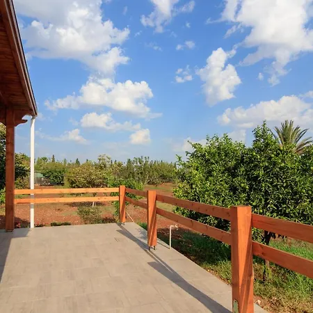 Berryrose Перволия