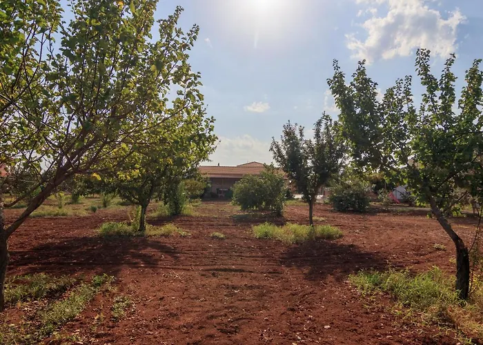 Berryrose * Περβόλια